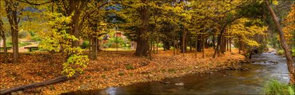 Harrietville - VIC (PBH3 00 34306)